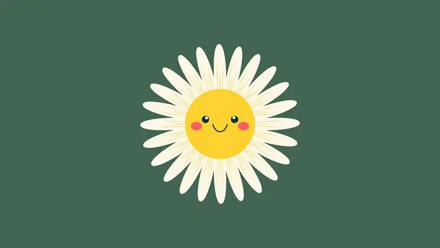 卡通雏菊简约电脑壁纸图(壁纸,雏菊,盛开的花朵,花朵,背景,简约)手绘