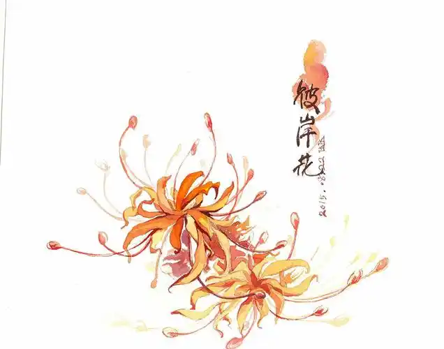 让我送你花一朵(之曼珠沙华(彼岸花))