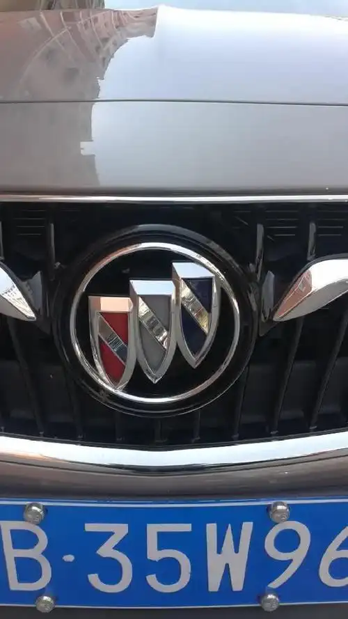 博瑞-不错的车标,好