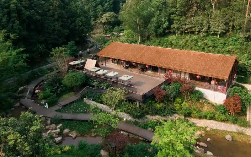 深深深呼吸,2023年"广西十大森林康养基地",你有去过哪个呢?