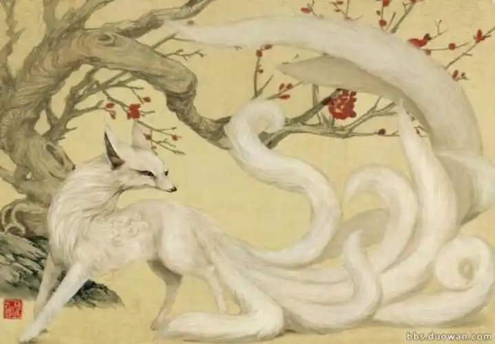 九尾狐 - 堆糖,美图壁纸兴趣社区