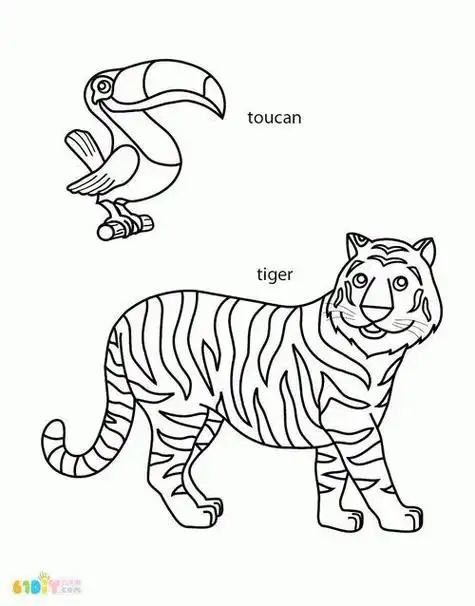 画老虎素描简笔画