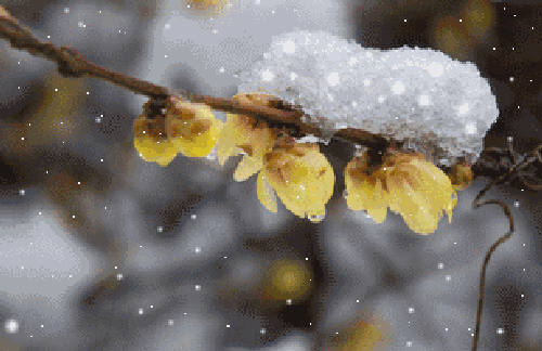 500_324gif 动态图 动图