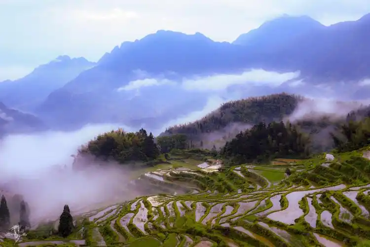 丽水采风江南行——云和梯田