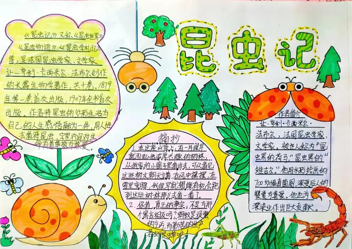 昆虫记手抄报读书小报