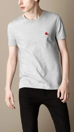 巴宝莉高仿男士短袖t恤的简单介绍-第2张图片-原单渠道