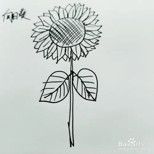 如何来画两棵漂亮的向日葵简笔画呢?