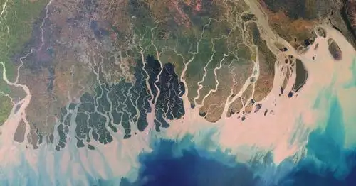 三角洲-博物wiki