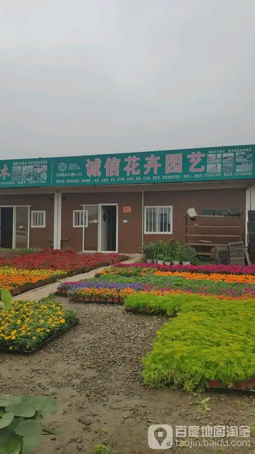 武进区标签: 农林园艺 公司企业  诚信花圃园艺共多少人浏览:3523834