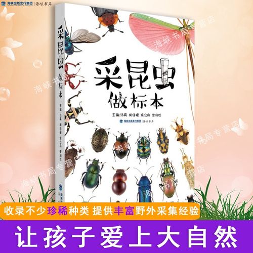 少儿儿童琥珀昆虫图鉴标本活虫宠物昆虫自然百科全书类书籍 海峡书局