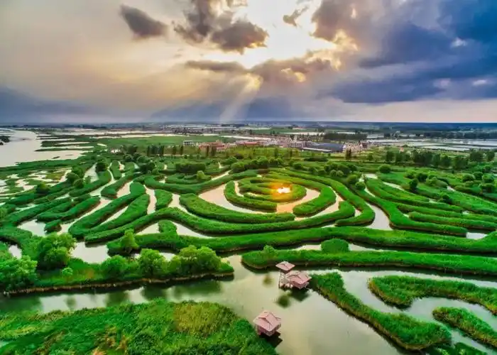 盐城大纵湖旅游度假区成功入选首批江苏省单项类文艺家采风创作基地