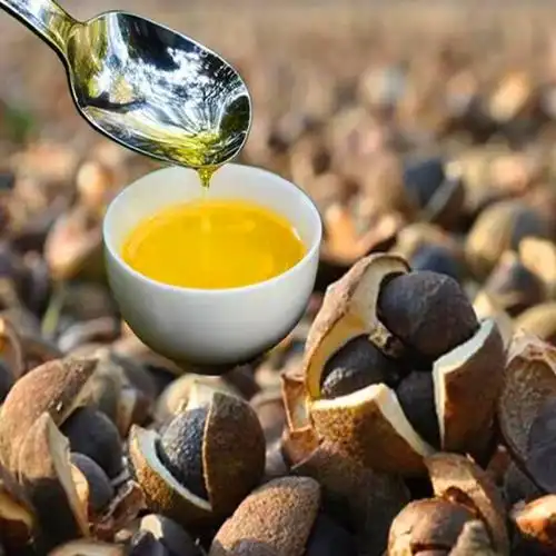 p>新县山茶油, a target="_blank" href="/item/河南省/59474" data