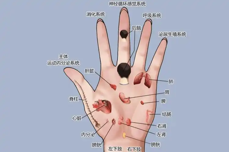 五个手指头,哪里不舒服揉哪里!