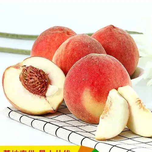 现货汉源桃子新鲜水果当季毛桃10斤包邮脆蜜桃白凤桃子现摘现发