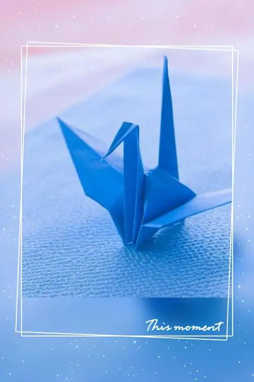 [千纸鹤](˙˙) 一种希望 一种寄托