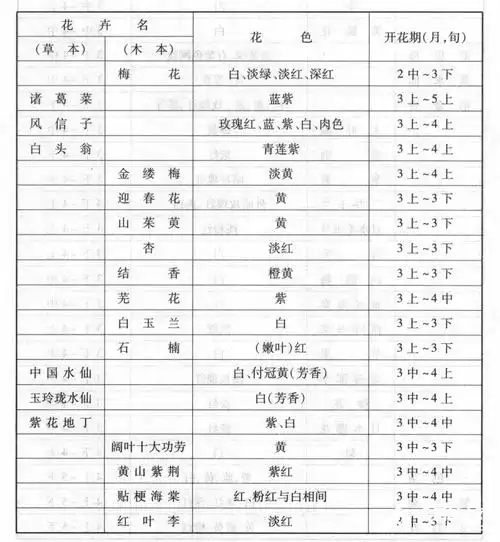 花期时间表