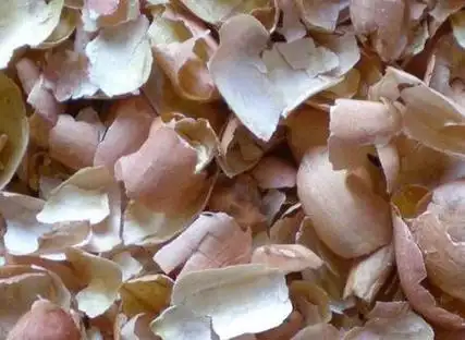 67生花生皮有什么作用和用处(花生皮的功效和作用)_言扒网