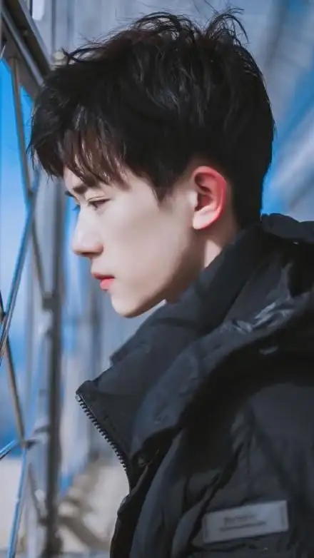 6位男明星的侧颜杀,蔡徐坤陈立农鹿晗,被谁的侧颜撩到了?