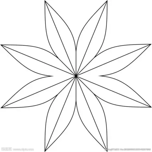 八瓣花线条图片