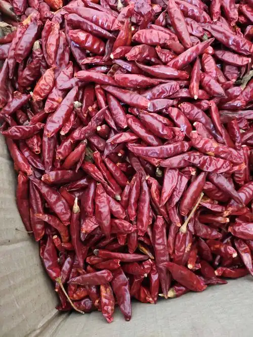 干辣椒