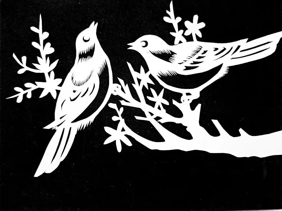 剪几只漂亮的小鸟#剪纸艺术 #剪纸的乐趣 - 抖音