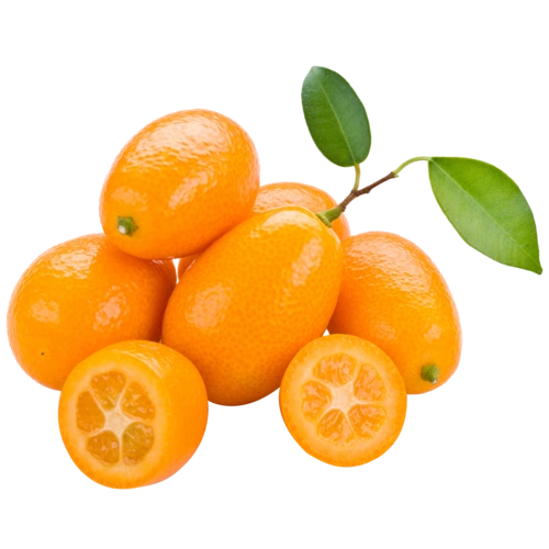 夏天水果图片大全