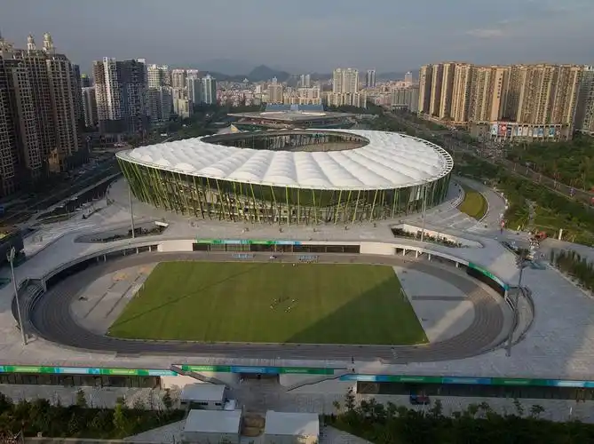 宝安体育馆-足球场全貌