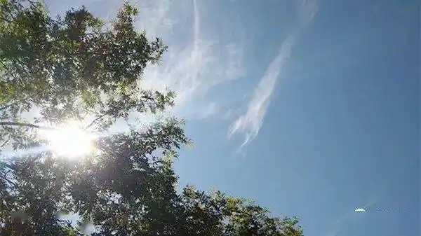 最近秋老虎热情反扑带来燥热的同时还带来了伴手礼