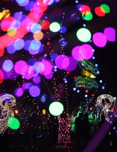 绚烂彩灯迎元宵