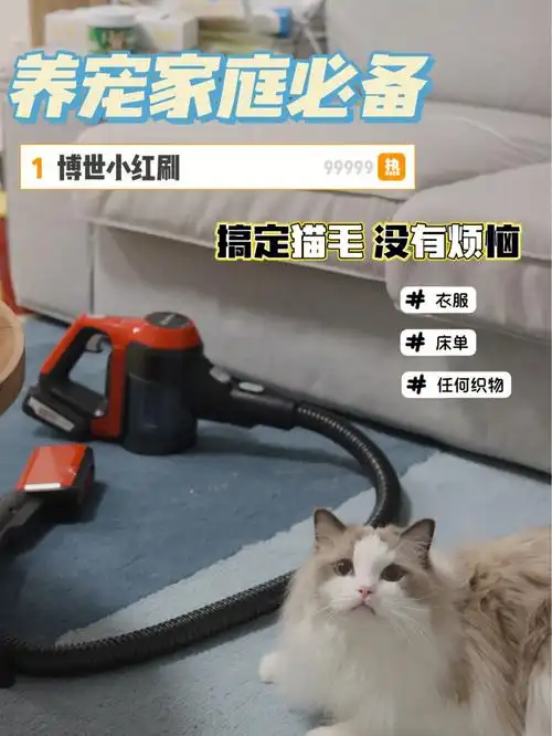 养猫家庭一定要拥有的除毛神器