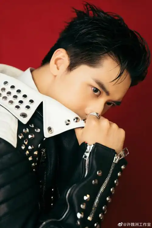 歌手当打之年##许魏洲帅哥头