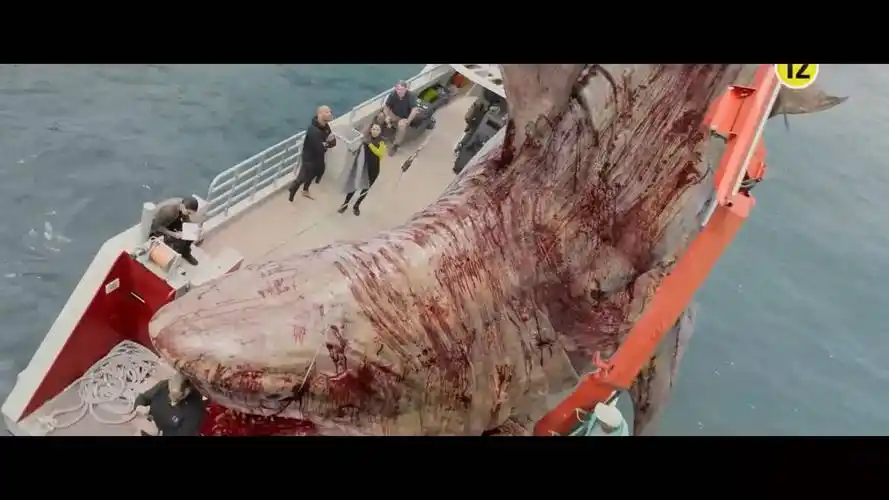 电影巨齿鲨一条已灭绝的远古生物带来的灾难