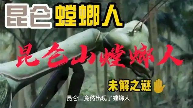 昆仑山螳螂人事件手臂居然是钛合金医生进行解刨