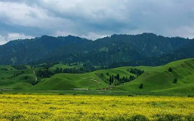 那拉提草原 新疆伊犁,高清风景摄影大图片 第7张