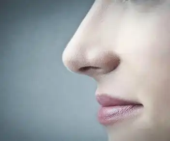 它的外形设计是要把鼻梁做成希腊鼻,罗马鼻,鼻根挺直直至额头.