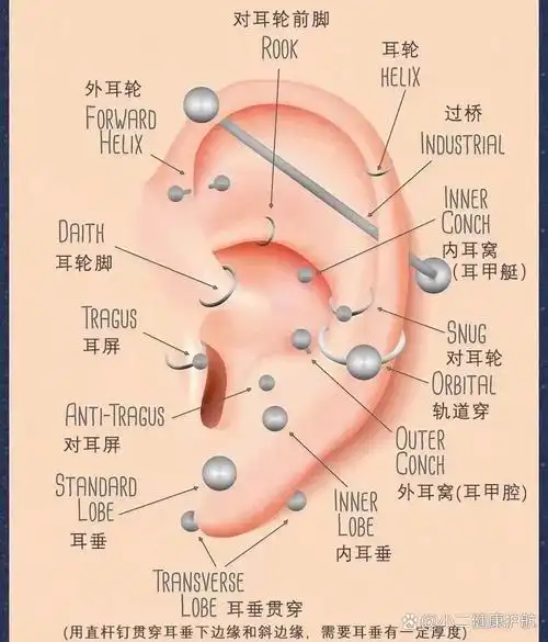耳部哪些位置可以穿孔71