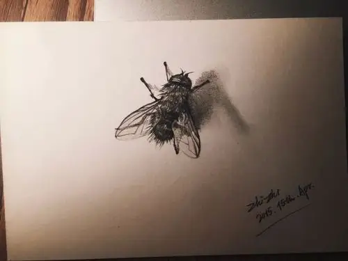 手绘#苍蝇