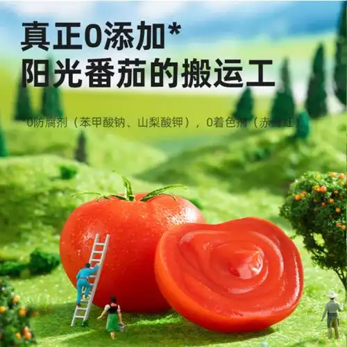 海天零添加有机番茄沙司305g(16袋/箱)