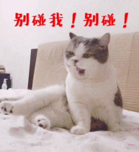 太阳打西边出来了表情包 - 表情图