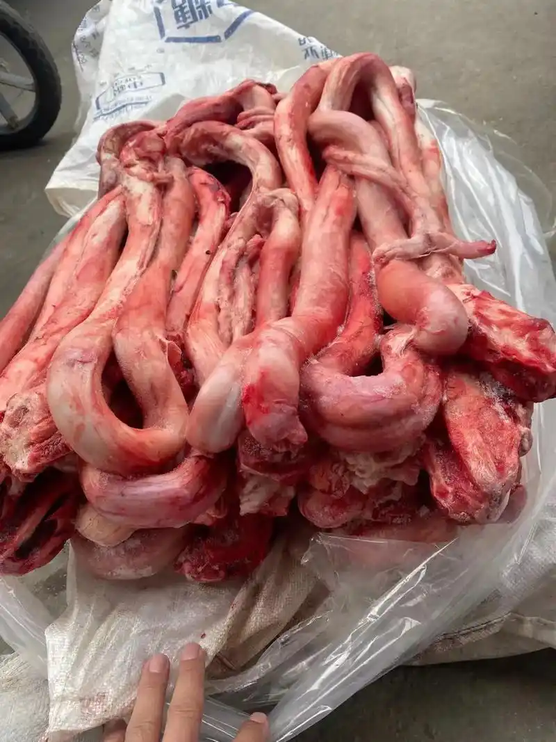 牛带劲 牛代发.国产新疆精修去油去鞭根公牛牛鞭 8000根独 - 抖音