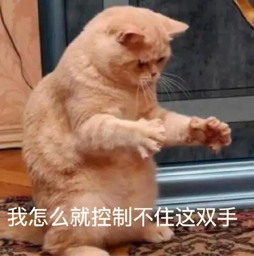 超拽的猫咪表情包_猫的qq表情
