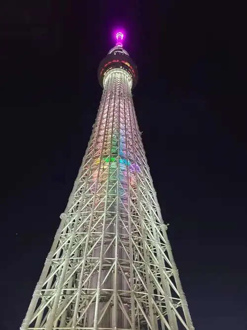 东京晴空塔看东京夜景一览无余