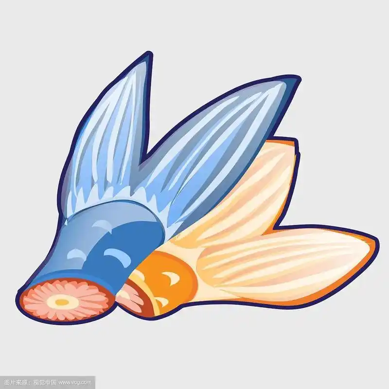 卡通风格的两个鱼尾