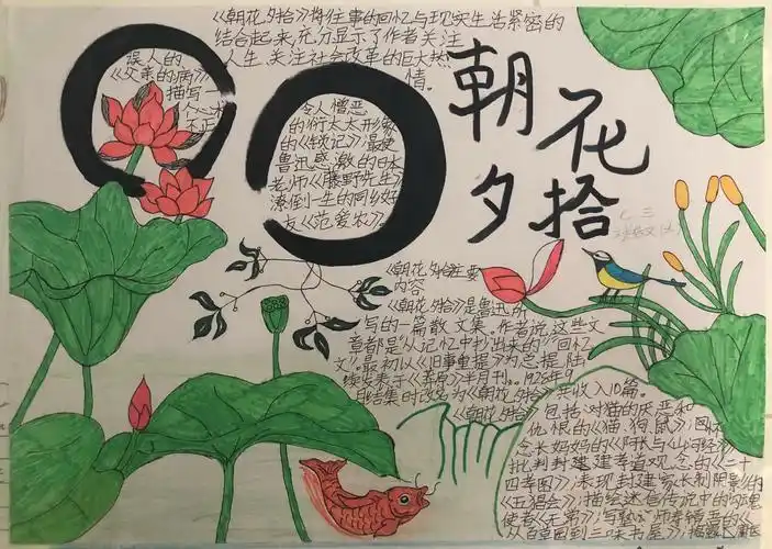 "乐读经典,丰富人生"——银鹰育才中学初一级部名著手抄报展览