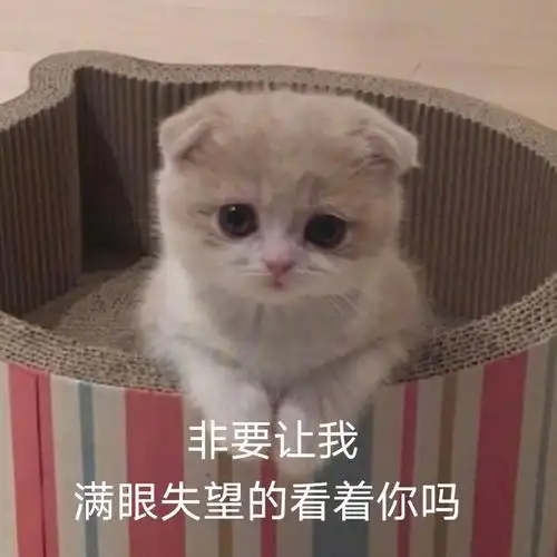 非要让我满眼失望的看着你吗可爱萌宠表情包