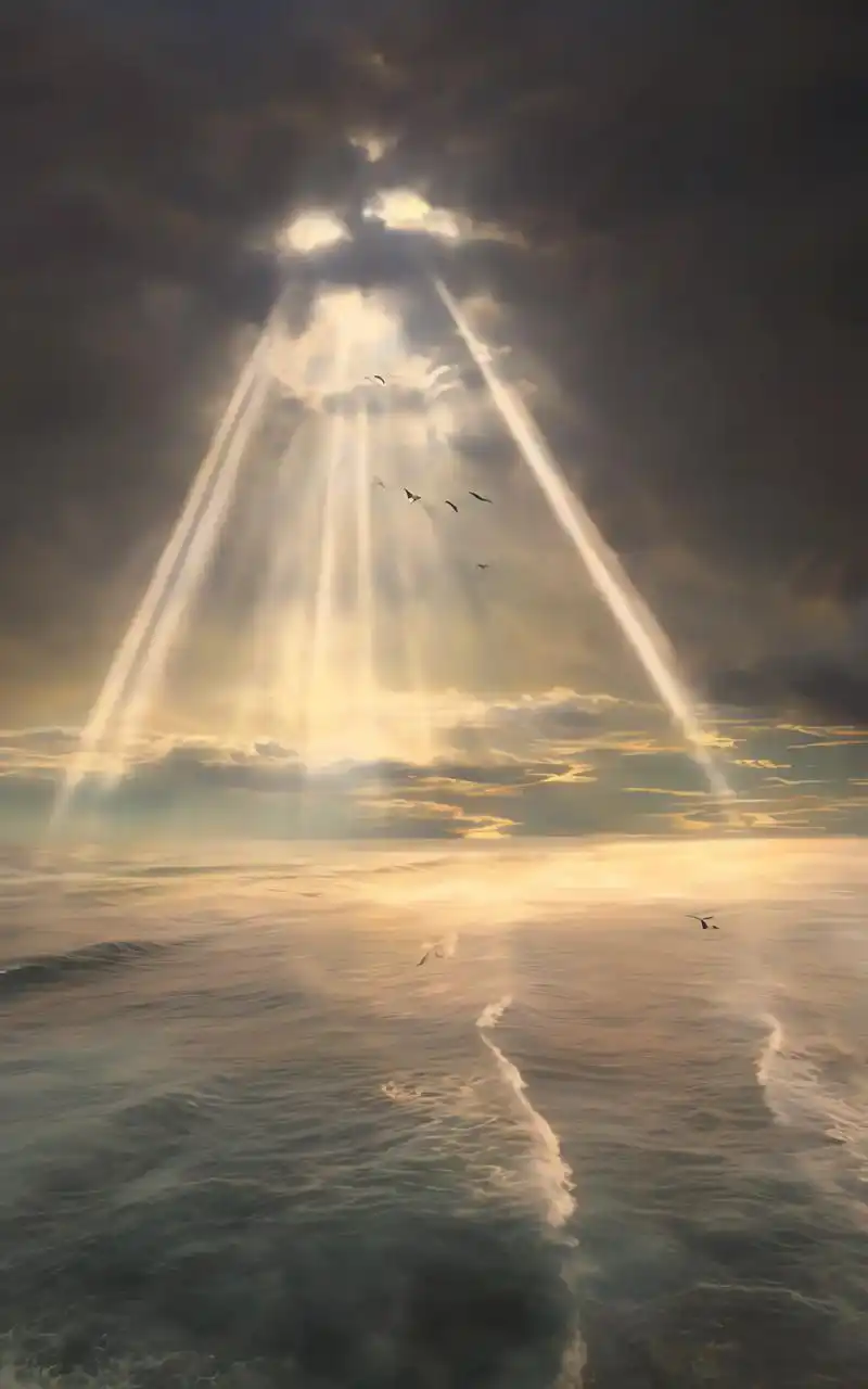 在乌云和大海之间,海燕像黑色 - 抖音