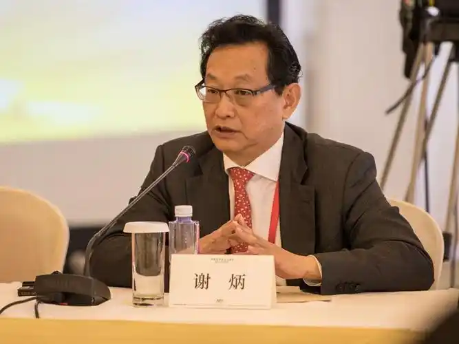 谢炳与泰国正大集团的关系(谢炳老家是哪里人)