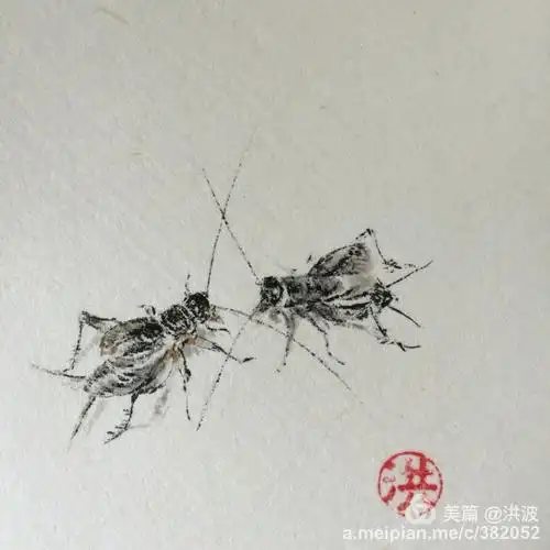画蟋蟀