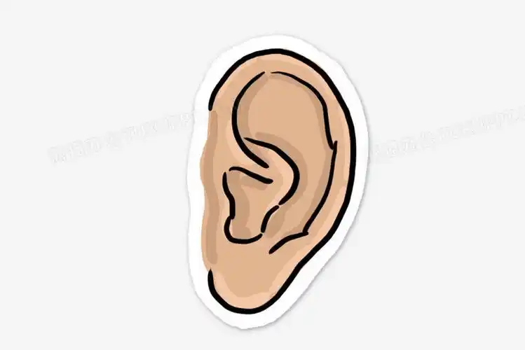 本作品全称为《黄色卡通手绘唯美漂亮的耳朵创意元素》,在整个配色上