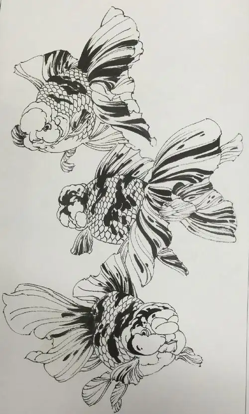 【工笔画.金鱼 白描 画稿】2.2)#书画界